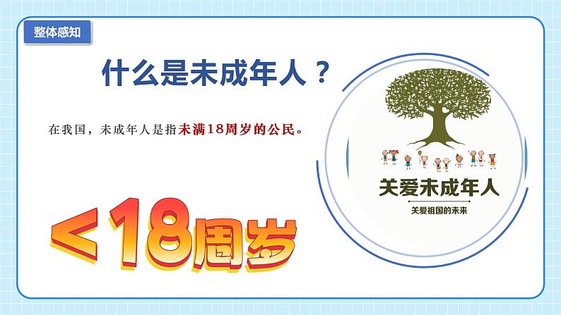 部编版7下道德与法治第十课第一框《法律为我们护航》课件第7页