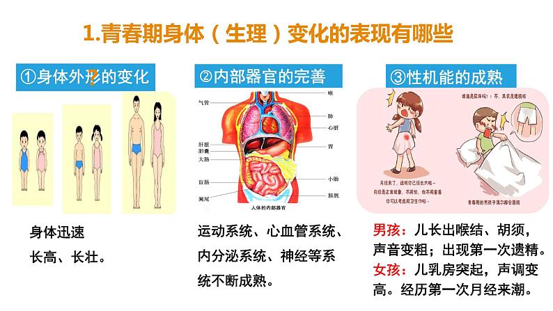 1.1 悄悄变化的我2022-2023学年部编版道德与法治七年级下册课件PPT第7页