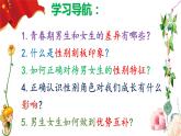 部编版道德与法治七年级下册 2.1男生女生（ppt+视频素材）