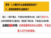 统编道法八上：5.1法不可违 课件