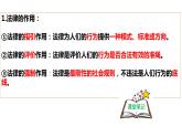 统编道法八上：5.1法不可违 课件