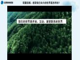 1.1开放互动的世界课件PPT