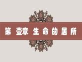 7.1家的意味（课件＋视频）-2022-2023学年七年级道德与法治上册高效备课精品课件