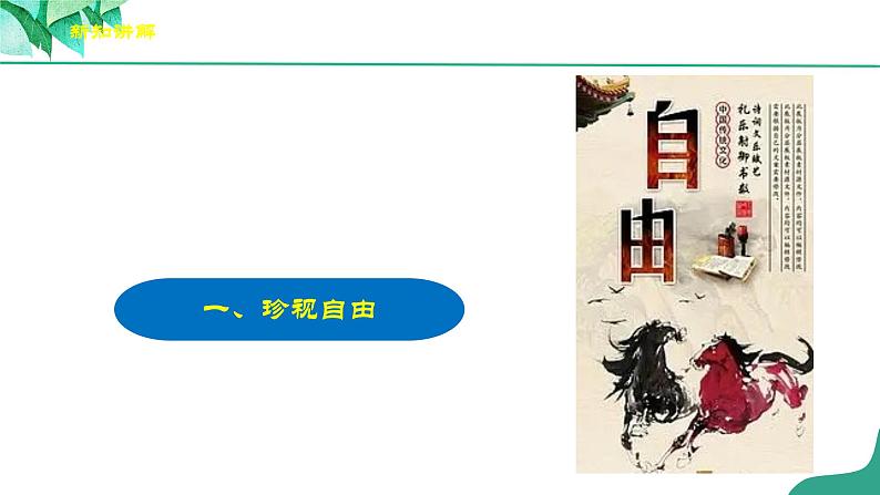 统编版道德与法制 八年级下册 7.2《自由平等的追求》（课件+教学设计+学案+课时训练+视频素材）06