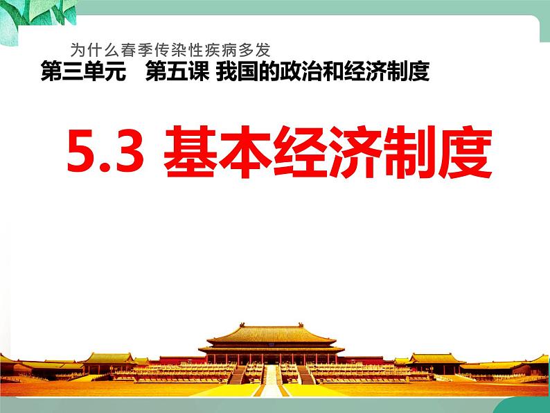 5.3基本经济制度课件第3页