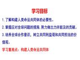 2.2 谋求互利共赢 课件-2022-2023学年部编版道德与法治九年级下册