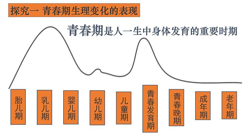 1.1 悄悄变化的我 课件-2022-2023学年部编版道德与法治七年级下册第6页