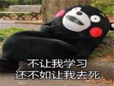 6.1+学无止境+课件-2022-2023学年部编版道德与法治九年级下册