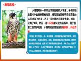 10.2 我们与法律同行 课件