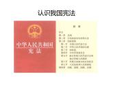部编版八年级道德与法治下册--2.1坚持依宪治国（课件4）