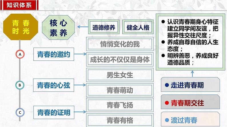 1.2成长的不仅仅是身体 课件第2页