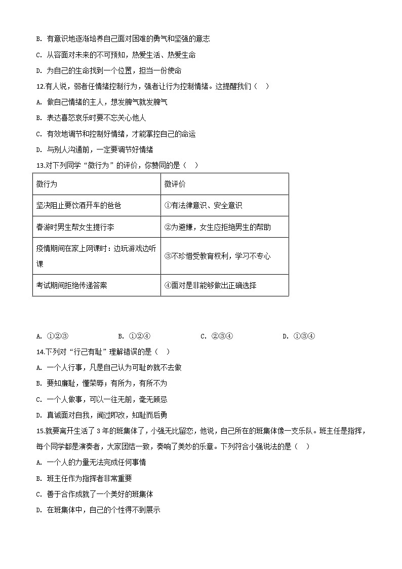 初中政治中考复习 精品解析：山东省临沂市2020年中考道德与法治试题（原卷版）03