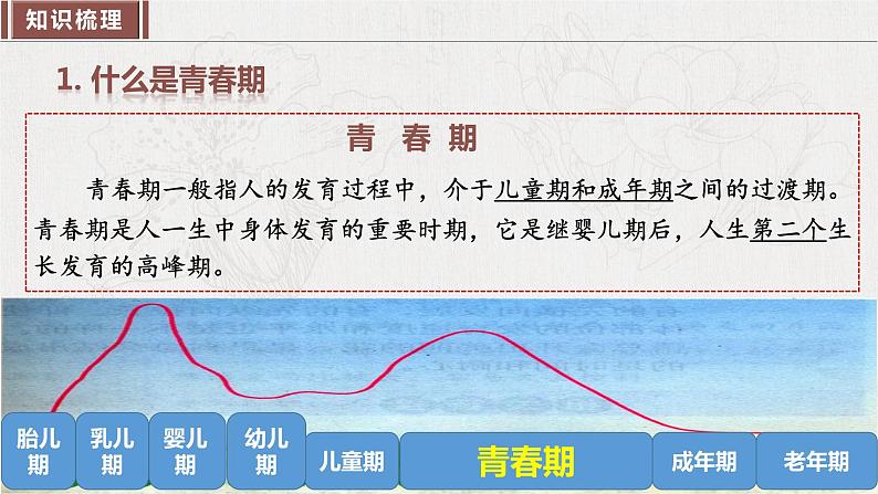 2023年部编版七年级道德与法治下册第一单元 青春时光（单元复习课件）+单元试卷含解析卷06