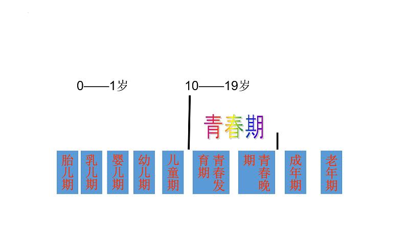 1.1   悄悄变化的我 课件-2022-2023学年部编版道德与法治七年级下册第6页