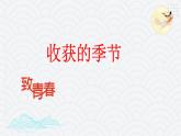 7.1走向未来的少年课件PPT