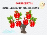 7.1走向未来的少年课件PPT