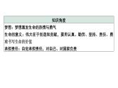 《学习模范人物  厚植文化自信》课件(共20张PPT)——【中考二轮专题复习】2023年中考道德与法治专题精讲
