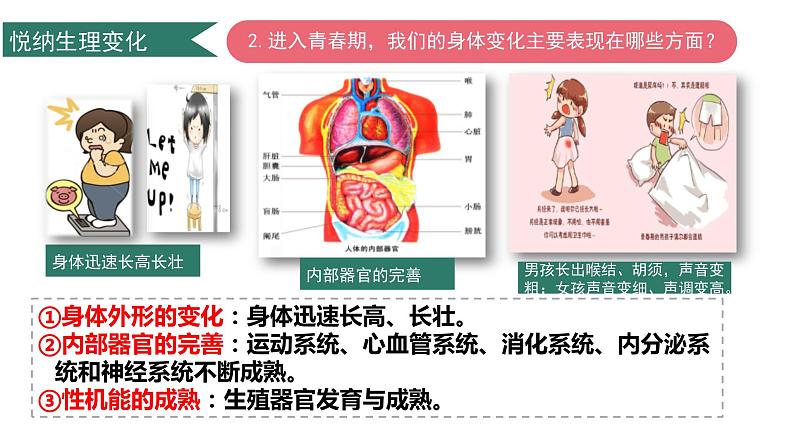 2022-2023学年部编版道德与法治七年级下册1.1 悄悄变化的我 课件-第6页