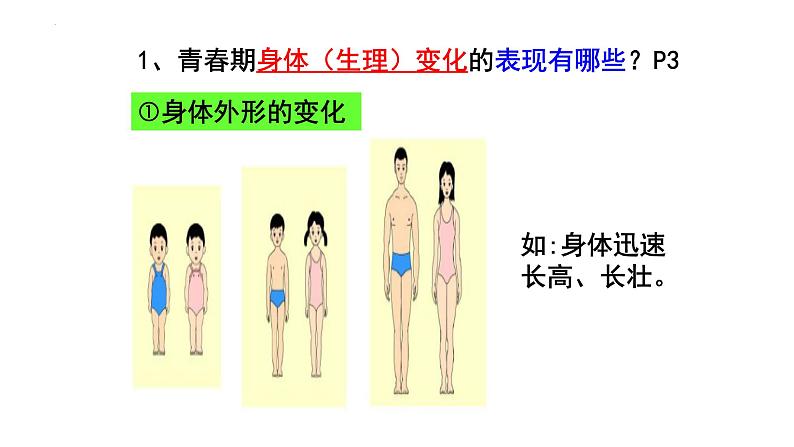 2022-2023学年部编版道德与法治七年级下册1.1 悄悄变化的我 课件第4页