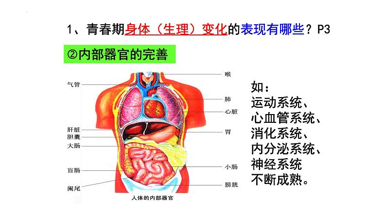 2022-2023学年部编版道德与法治七年级下册1.1 悄悄变化的我 课件第5页