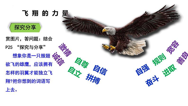 2022-2023学年部编版道德与法治七年级下册 3.1 青春飞扬 课件第7页