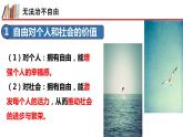 7.1自由平等的真谛课件PPT