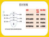 1.1我与社会课件PPT