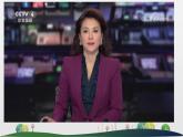 6.1我对谁负责 谁对我负责课件PPT