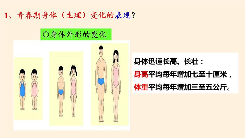 1.1悄悄变化的我课件PPT第5页