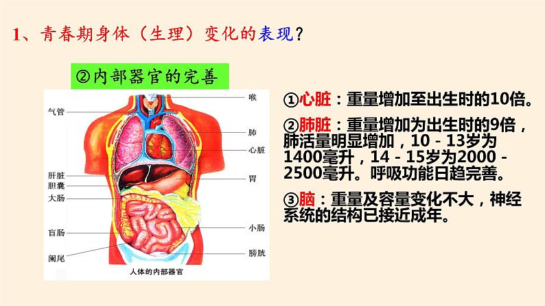 1.1悄悄变化的我课件PPT第6页