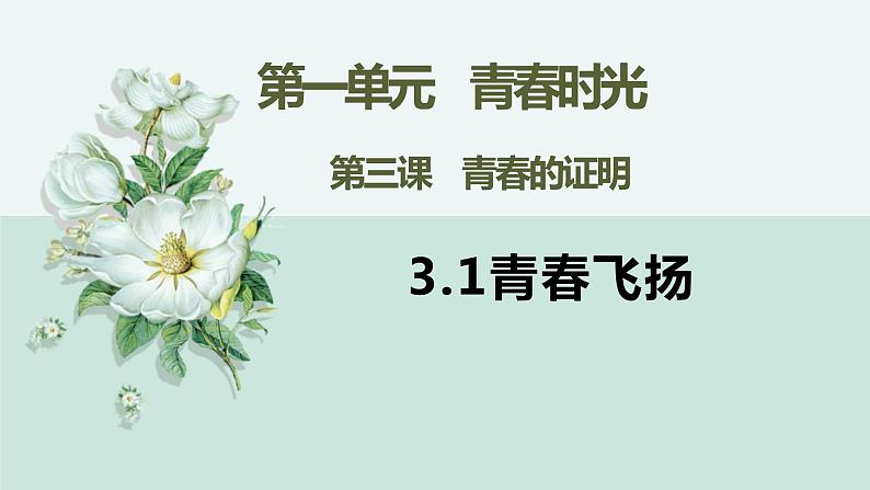 部编版道德与法治七年级下册 3.1 青春飞扬 课件+教案01