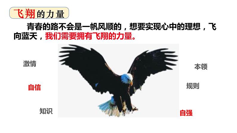 3.1 青春飞扬 课件-2022-  2023学年部编版道德与法治七年级下册第8页