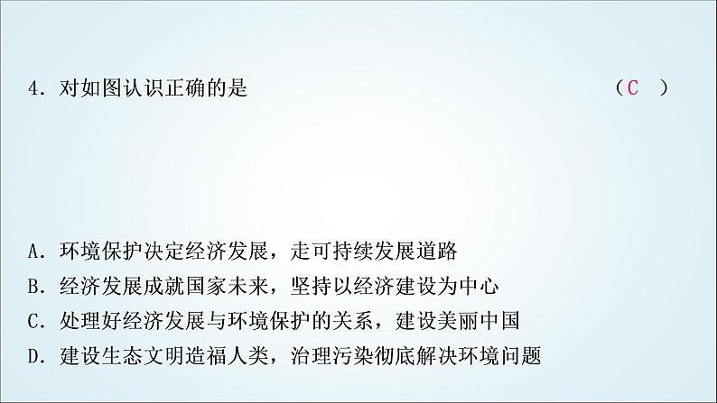 部编版中考《道德与法治》复习第六课建设美丽中国作业课件第5页