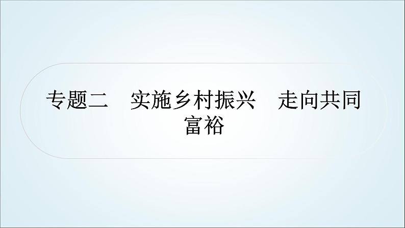 部编版中考《道德与法治》复习专题二实施乡村振兴走向共同富裕教学课件01