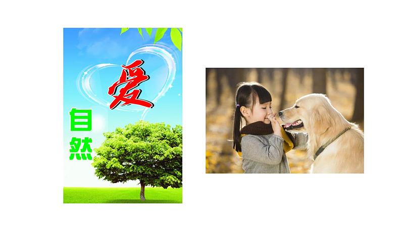 部编版七年级道德与法治下册--2.5.1 我们的情感世界（精品课件）第3页