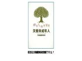 部编版七年级道德与法治下册--10.1法律为我们护航（课件）