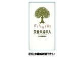 部编版七年级道德与法治下册--10.1法律为我们护航（课件）