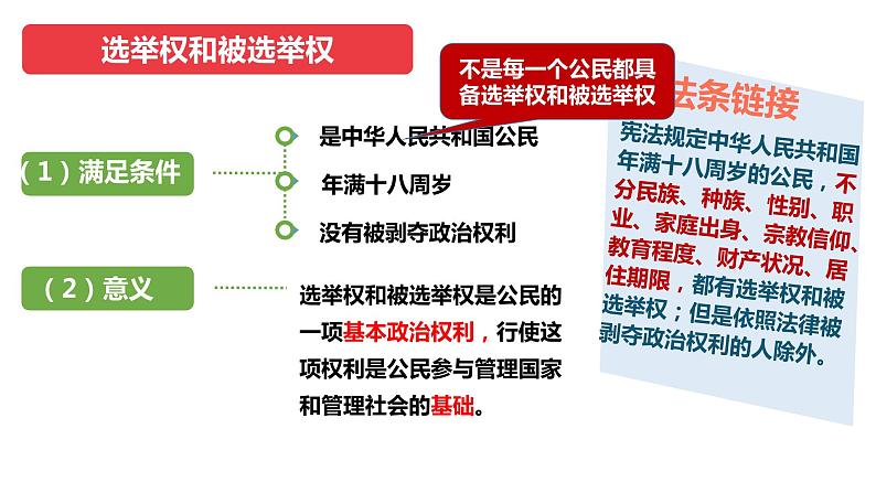 3.1 公民基本权利 课 件-2022 -2023学年部编版道德与法治八年级下册课件PPT第5页