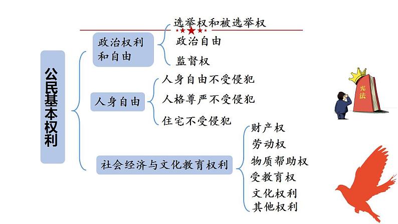 3.1 公民基本权利 课件-2022-2023学年部编版道德与法治八年级下册第4页