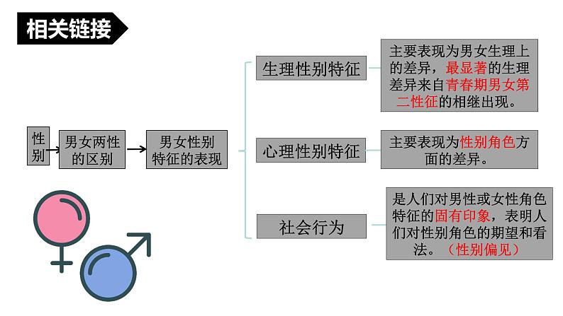 2.1 男生女生 课件-2022-2023学年部编版道德与法治七年级下册08