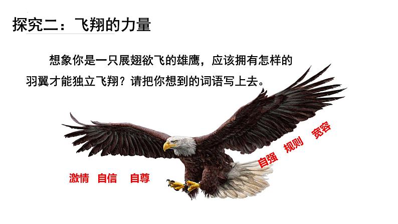 3.1 青春飞扬-课件-2022-2023 学年部编版道德与法治七年级下册第8页