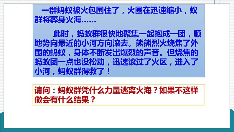 8.1 憧憬美好集体 课件-2022-2023学年部编版道德与法治七年级下册第4页