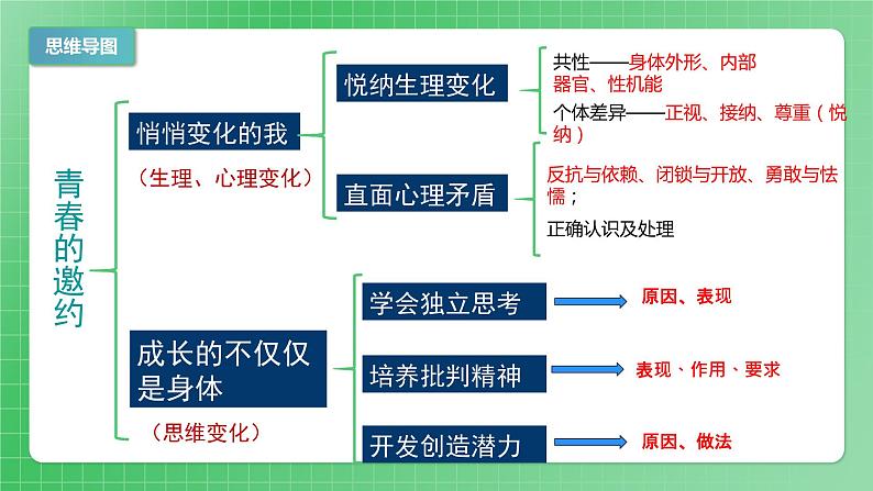 第一单元青春时光（复习课件）第4页