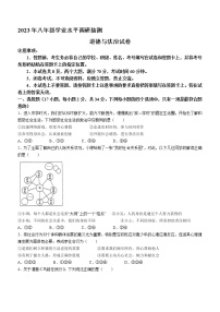 河南省新乡市2022-2023学年八年级上学期期末道德与法治试题（含答案）