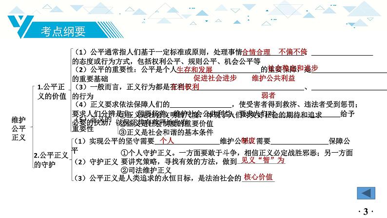 中考总复习道德与法治-八年级下册第四单元-第八课课件PPT第4页