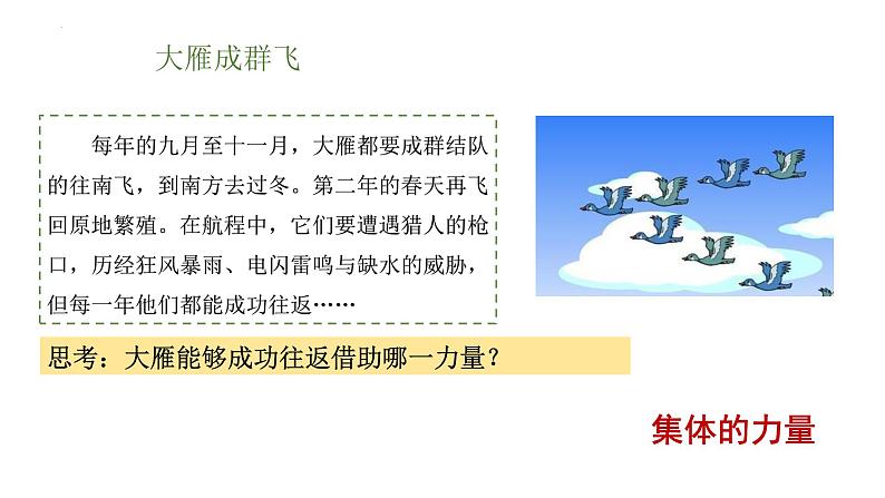 2022-2023学年部编版道德与法治七年级下册6.1 集体生活邀请我 课件06