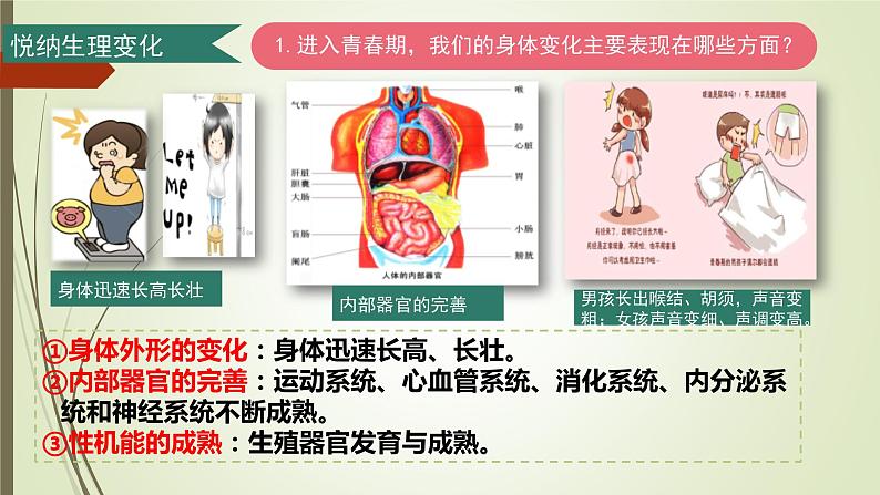 第一单元第一课 悄悄变化的我 课件 部编版道德与法治七年级下册练习题04