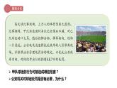 道德与法治八下 3.2 依法行使权利 课件