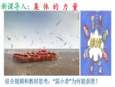 部编版道德与法治七年级下册   6.1集体生活邀请我（ppt+视频素材）
