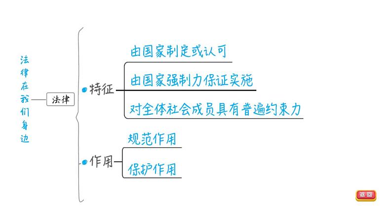 部编版道德与法治中考一轮复习--教材梳理--第8课时 走进法治天地（复习课件）05